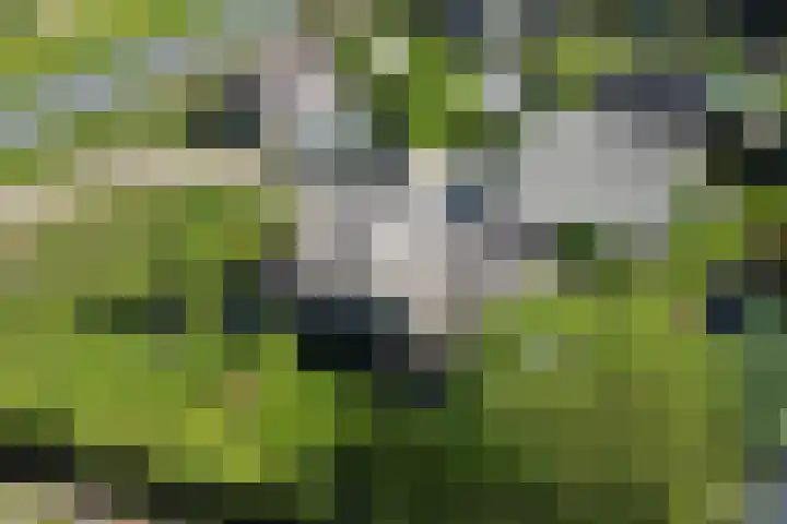 Nieuwe Veer 47 Streefkerk thumbnail 86