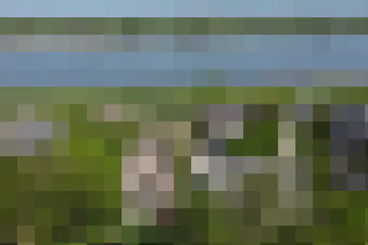Nieuwe Veer 47 Streefkerk thumbnail 87