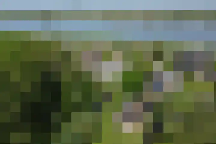 Nieuwe Veer 47 Streefkerk thumbnail 88