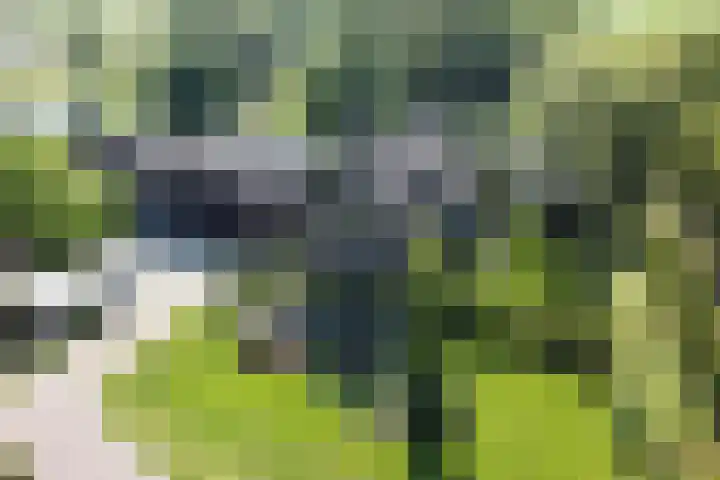 Nieuwe Veer 47 Streefkerk thumbnail 94