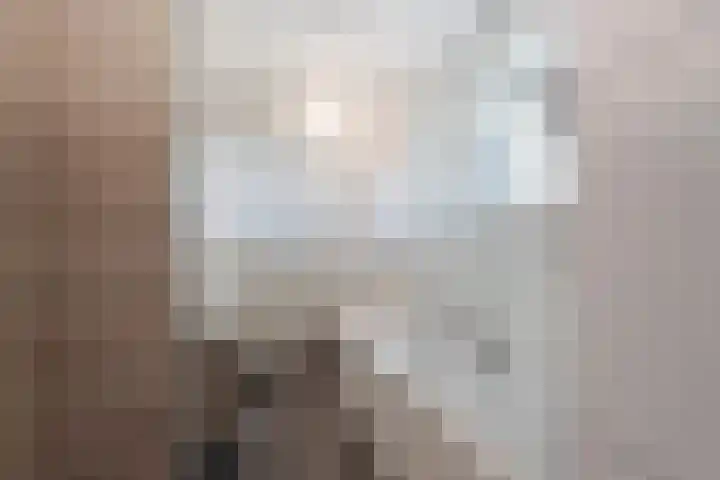 Nieuwe Veer 89 Streefkerk thumbnail 18