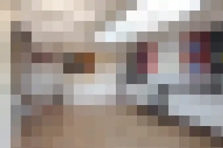 Nieuwe Veer 89 Streefkerk thumbnail 20