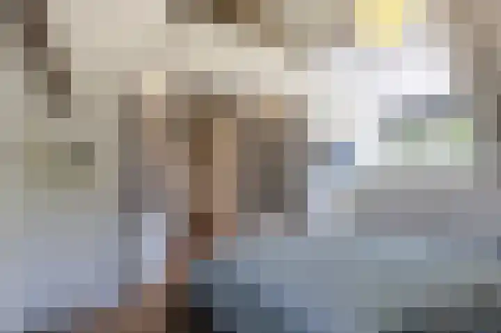 Nieuwe Veer 89 Streefkerk thumbnail 25