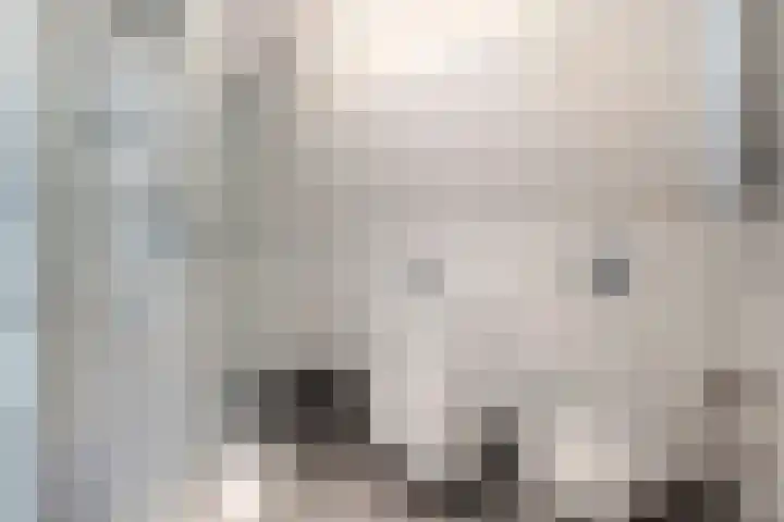 Nieuwe Veer 89 Streefkerk thumbnail 26