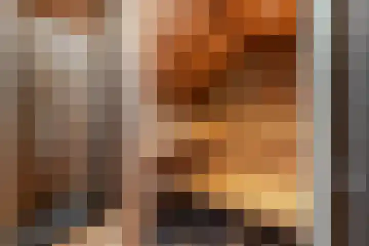 Nieuwe Veer 89 Streefkerk thumbnail 28