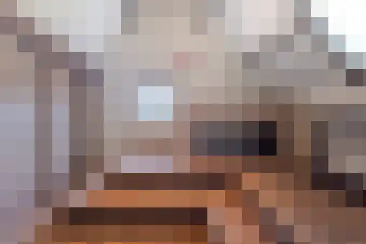 Nieuwe Veer 89 Streefkerk thumbnail 29