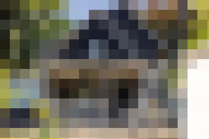 Nieuwe Veer 89 Streefkerk thumbnail 30