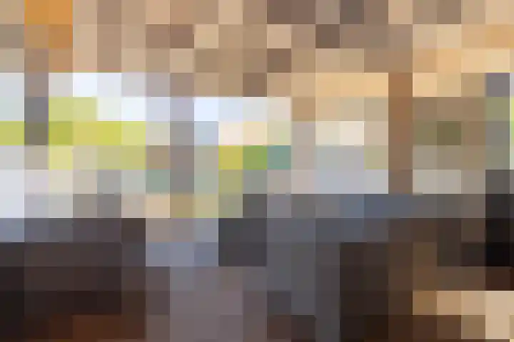 Nieuwe Veer 89 Streefkerk thumbnail 31