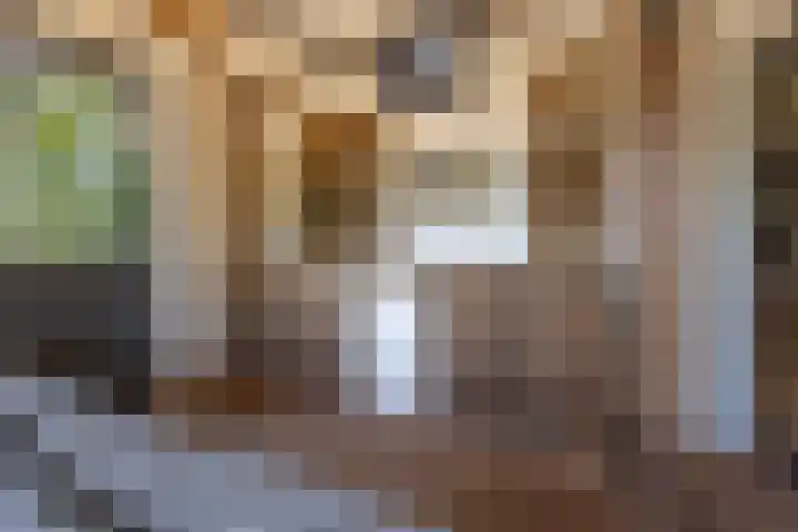Nieuwe Veer 89 Streefkerk thumbnail 32