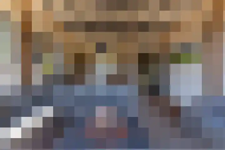 Nieuwe Veer 89 Streefkerk thumbnail 33