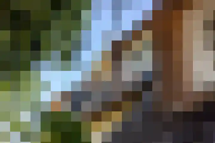 Nieuwe Veer 89 Streefkerk thumbnail 39
