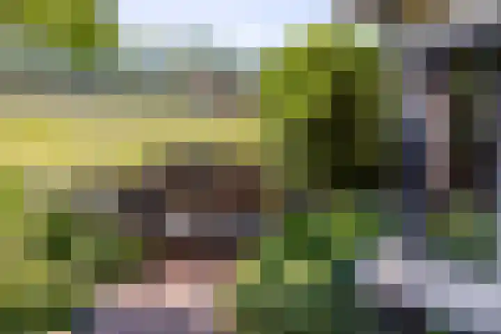 Nieuwe Veer 89 Streefkerk thumbnail 40