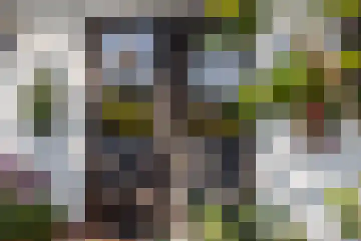 Nieuwe Veer 89 Streefkerk thumbnail 41