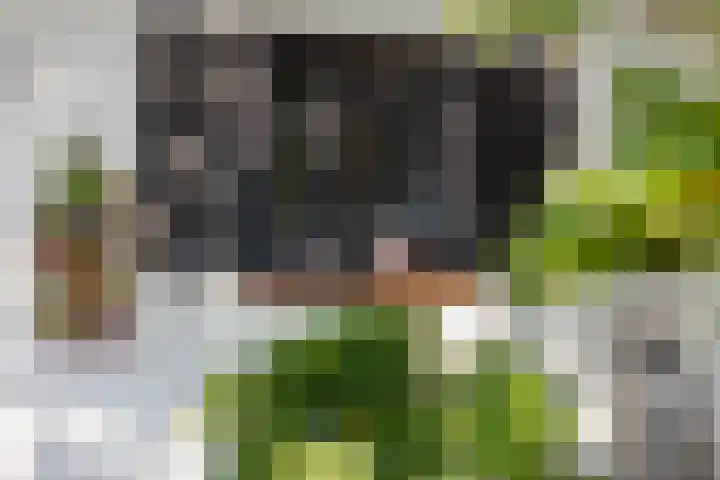 Nieuwe Veer 89 Streefkerk thumbnail 42