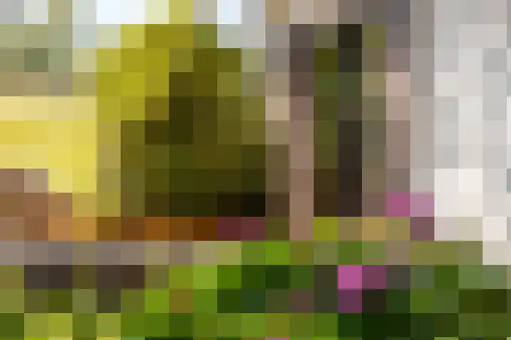 Nieuwe Veer 89 Streefkerk thumbnail 43