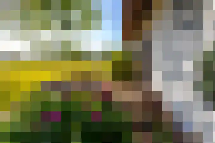 Nieuwe Veer 89 Streefkerk thumbnail 44
