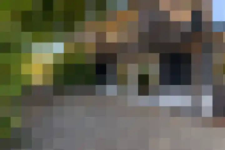 Nieuwe Veer 89 Streefkerk thumbnail 46