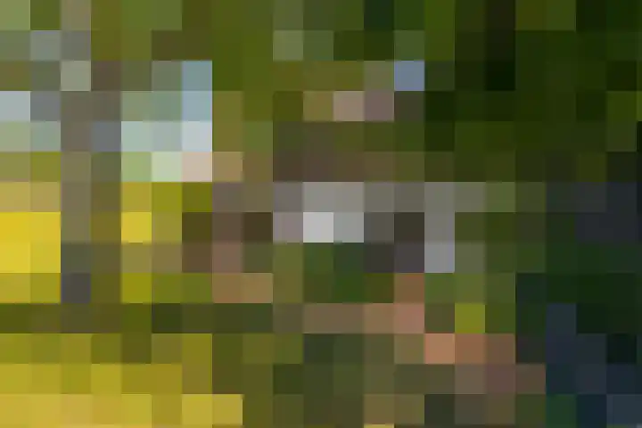 Nieuwe Veer 89 Streefkerk thumbnail 47