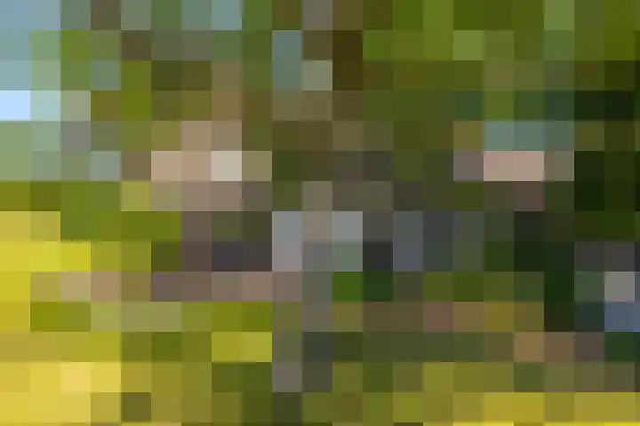 Nieuwe Veer 89 Streefkerk thumbnail 48