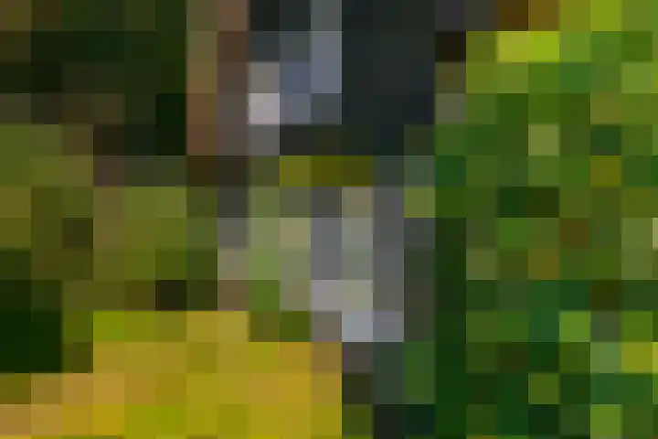 Nieuwe Veer 89 Streefkerk thumbnail 49