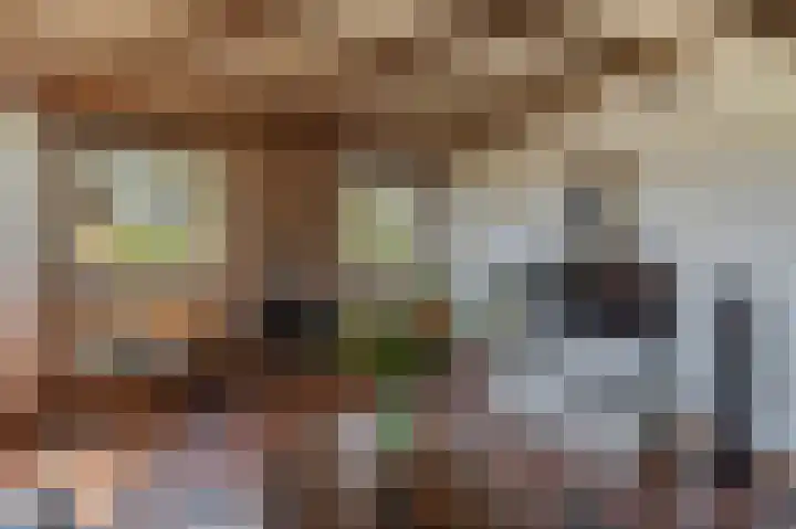 Nieuwe Veer 89 Streefkerk thumbnail 5