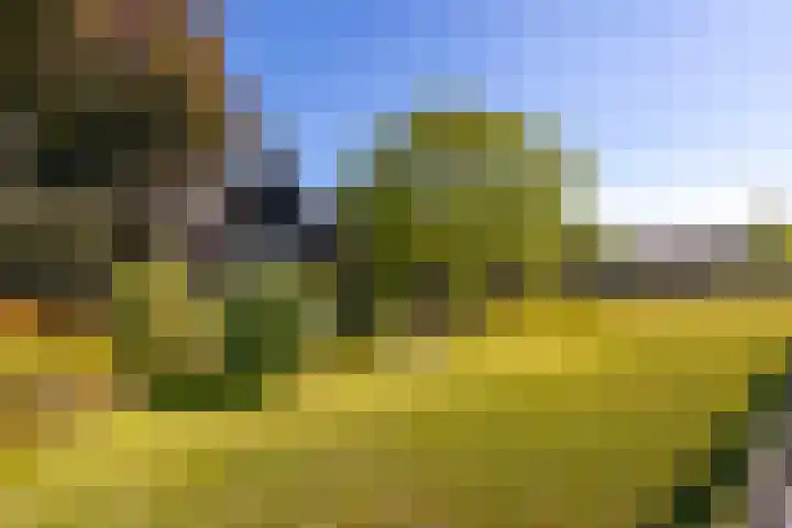 Nieuwe Veer 89 Streefkerk thumbnail 50