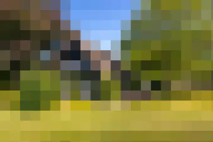 Nieuwe Veer 89 Streefkerk thumbnail 51