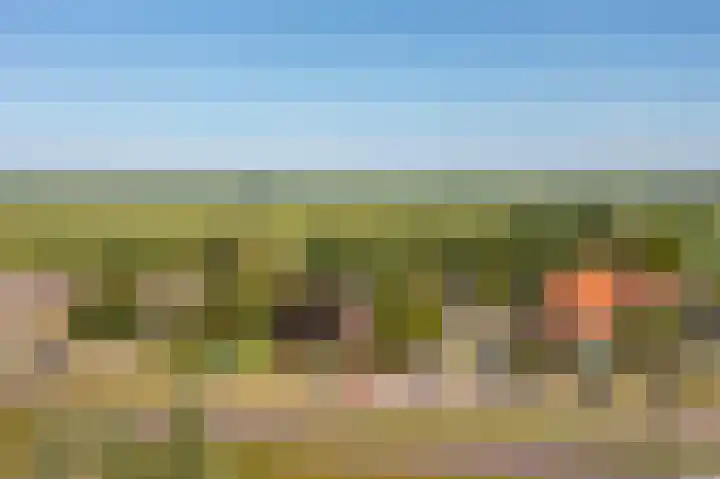 Nieuwe Veer 89 Streefkerk thumbnail 52