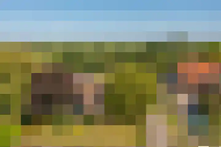 Nieuwe Veer 89 Streefkerk thumbnail 53