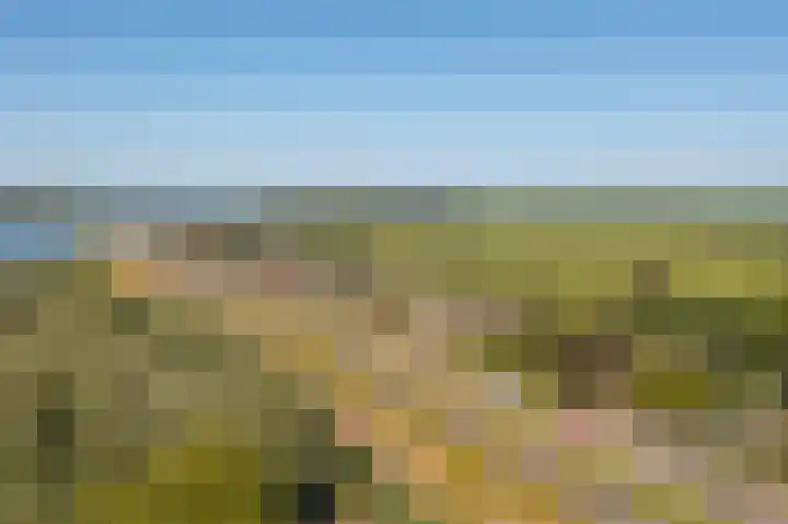 Nieuwe Veer 89 Streefkerk thumbnail 54