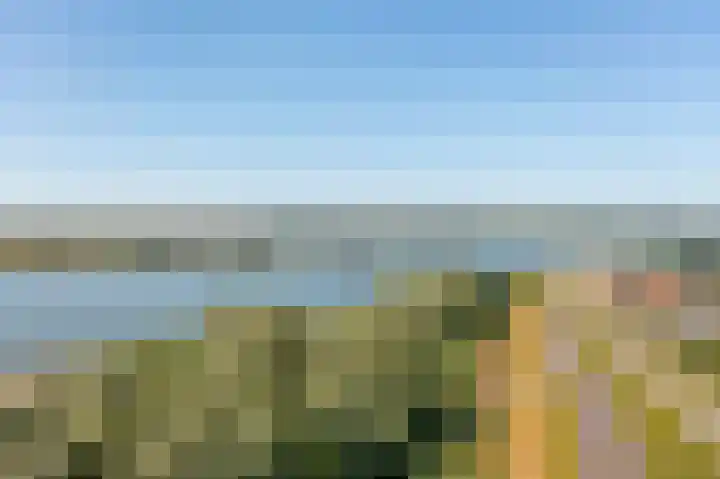 Nieuwe Veer 89 Streefkerk thumbnail 56