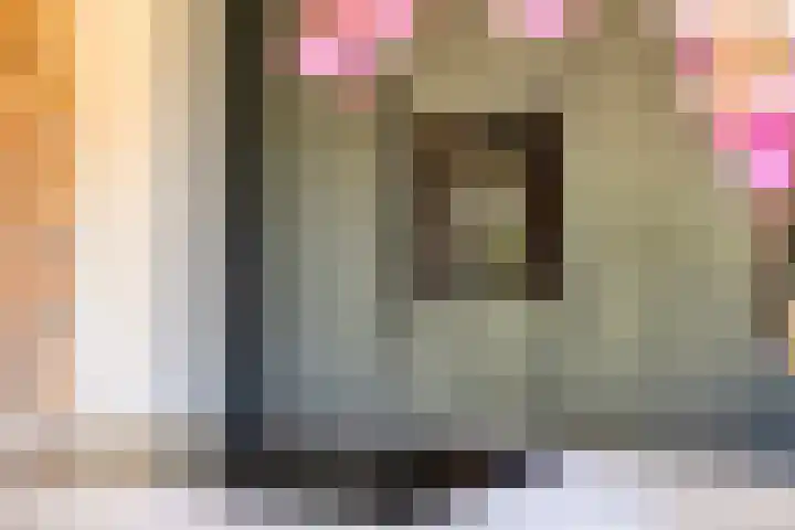 Nieuwe Veldenweg 4 Veghel thumbnail 10