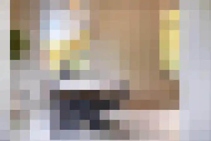 Nieuwe Veldenweg 4 Veghel thumbnail 15