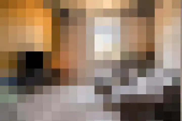 Nieuwe Veldenweg 4 Veghel thumbnail 17