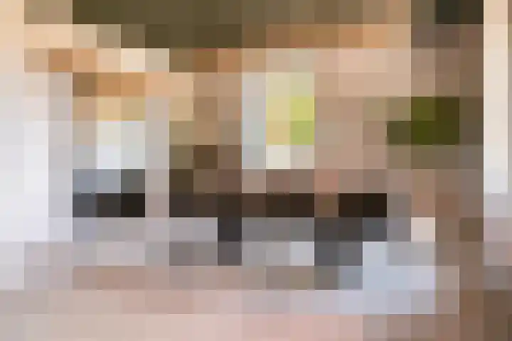 Nieuwe Veldenweg 4 Veghel thumbnail 18