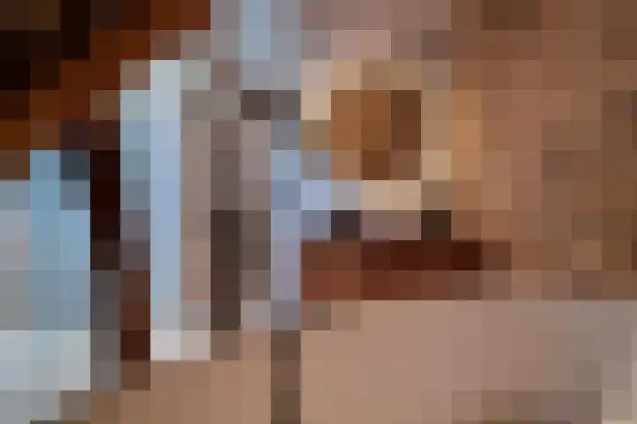 Nieuwe Veldenweg 4 Veghel thumbnail 30
