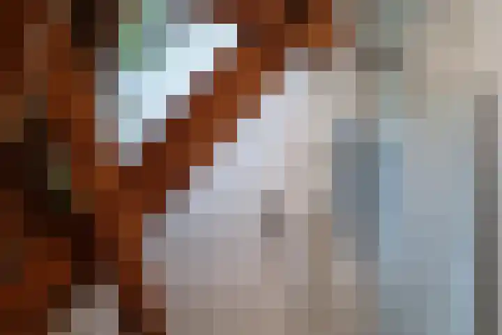 Nieuwe Veldenweg 4 Veghel thumbnail 31