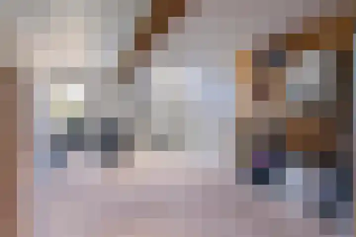 Nieuwe Veldenweg 4 Veghel thumbnail 37