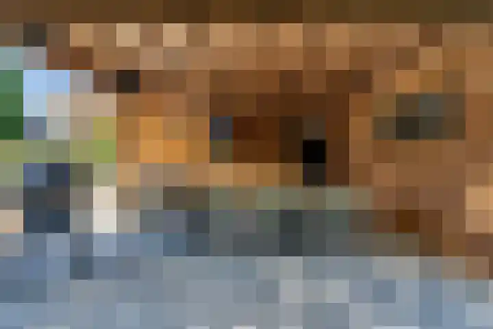 Nieuwe Veldenweg 4 Veghel thumbnail 39
