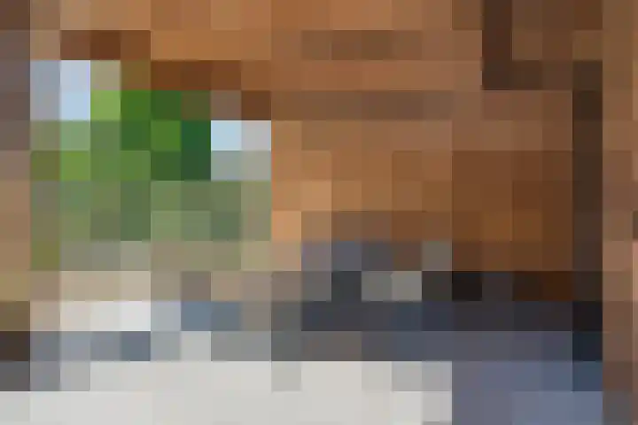 Nieuwe Veldenweg 4 Veghel thumbnail 40