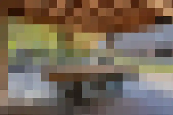 Nieuwe Veldenweg 4 Veghel thumbnail 41