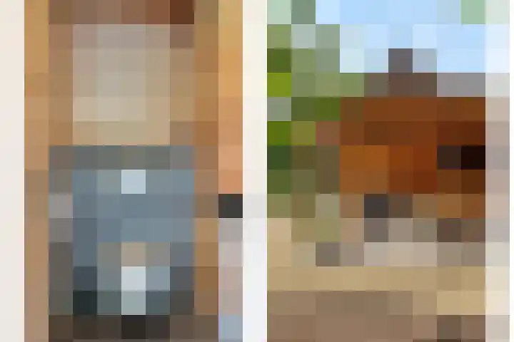Nieuwe Veldenweg 4 Veghel thumbnail 42