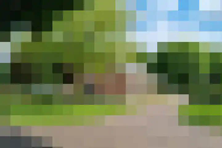 Nieuwe Veldenweg 4 Veghel thumbnail 44