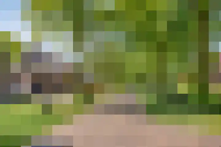 Nieuwe Veldenweg 4 Veghel thumbnail 45