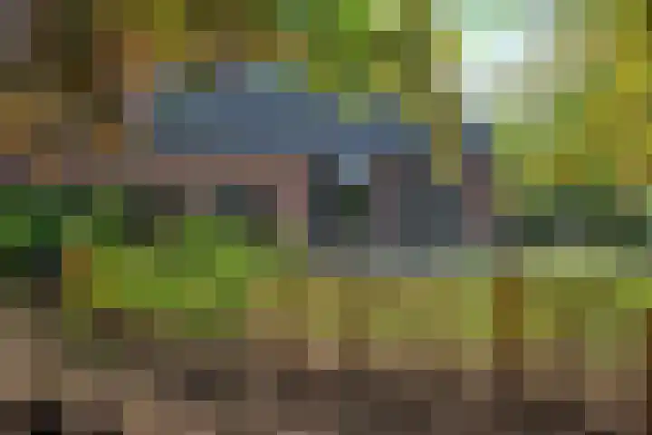 Nieuwe Veldenweg 4 Veghel thumbnail 46