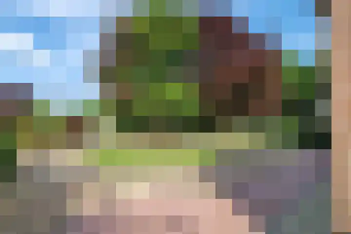 Nieuwe Veldenweg 4 Veghel thumbnail 6