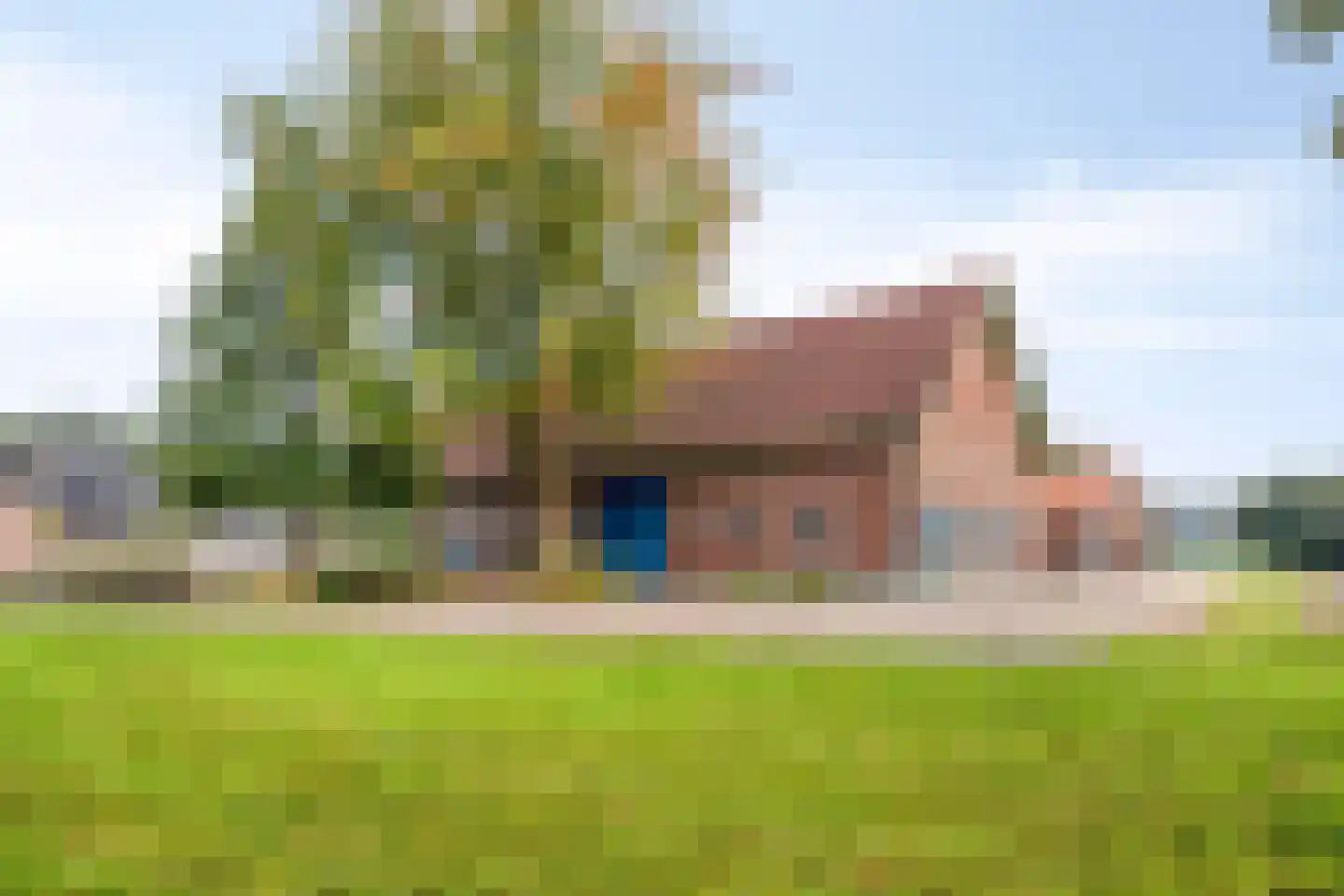 Nieuwe Veldenweg 8 Veghel thumbnail 10