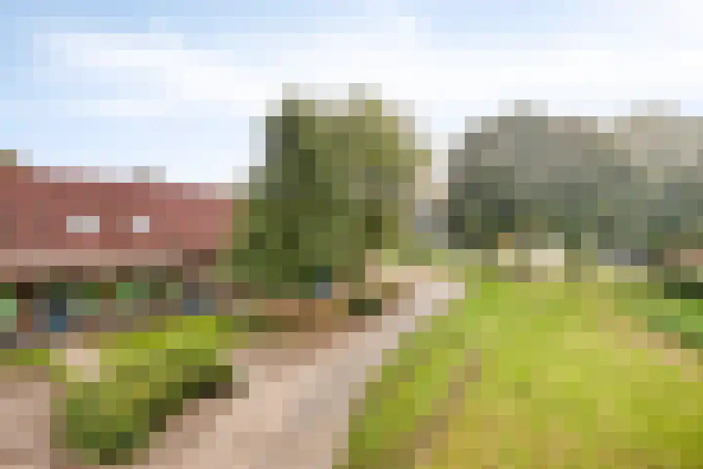 Nieuwe Veldenweg 8 Veghel thumbnail 15