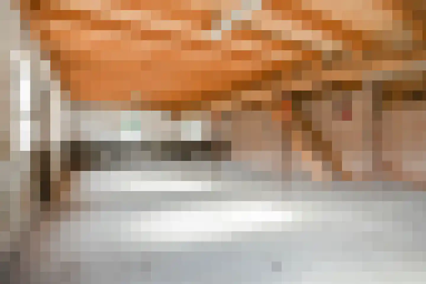 Nieuwe Veldenweg 8 Veghel thumbnail 19