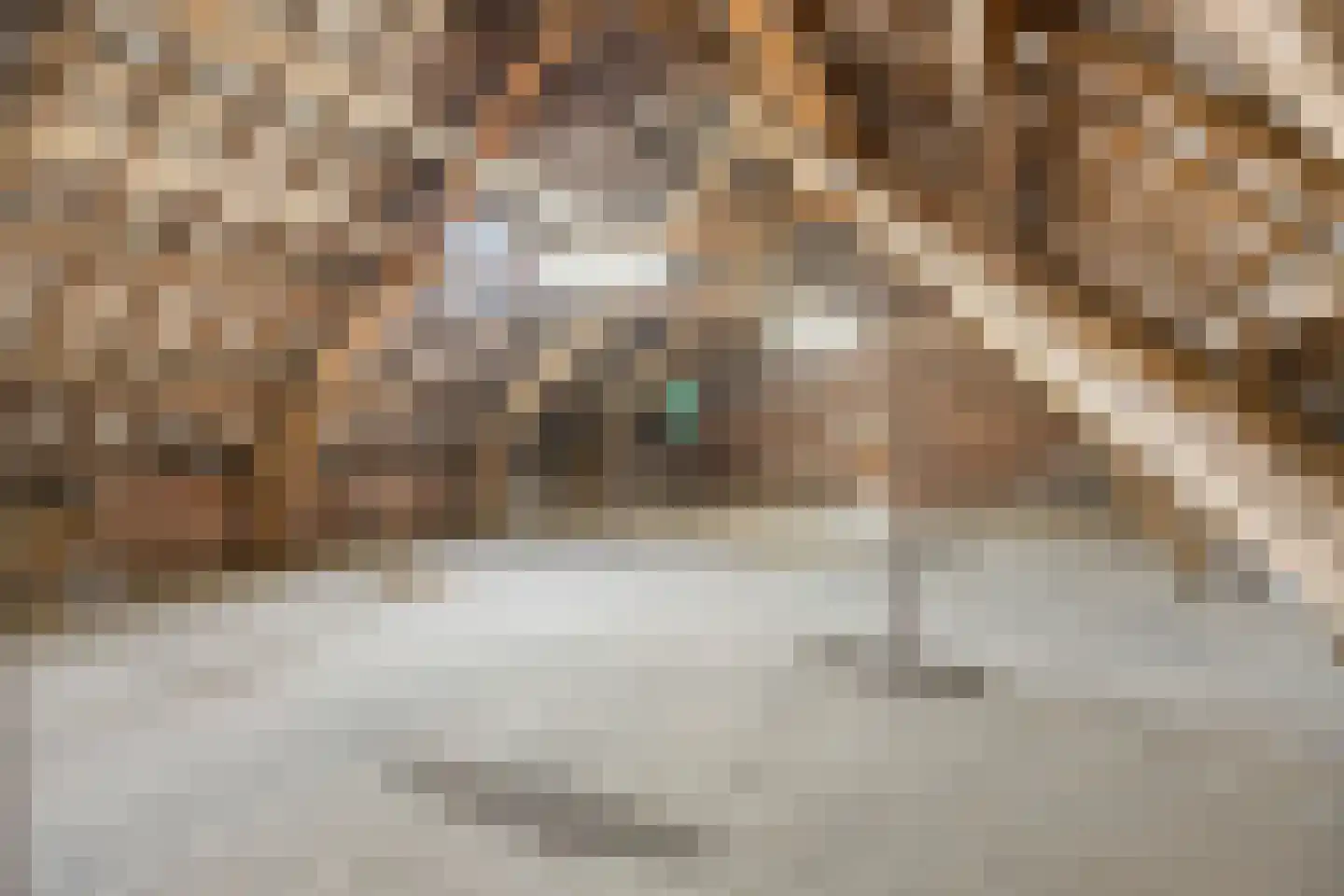Nieuwe Veldenweg 8 Veghel thumbnail 20